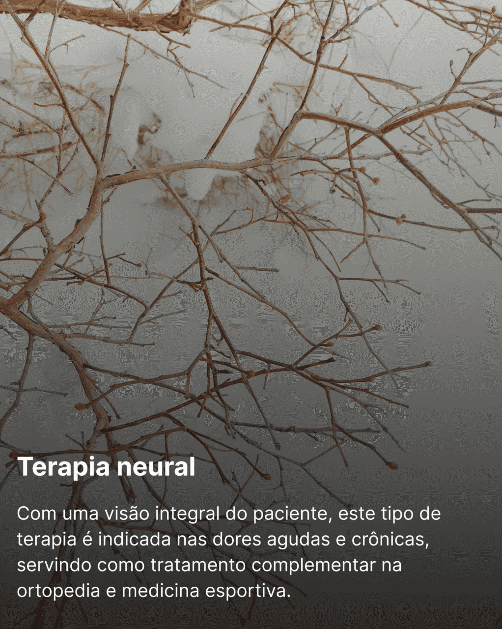 Terapia neural
